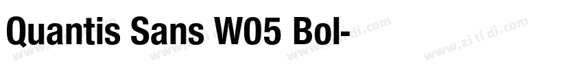 Quantis Sans W05 Bol字体转换